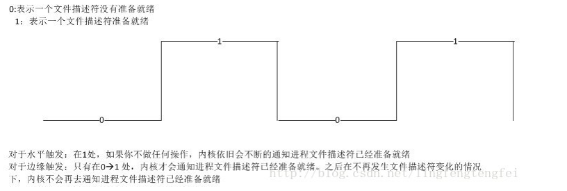 image-20210201161749592